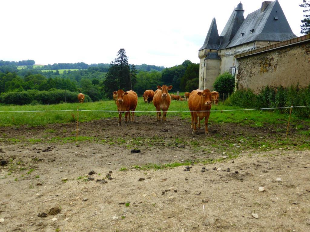 Chateau De Mavaleix Chalais  Eksteriør billede